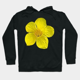 Official Flower Bahamas Yellow Elderflower Tecoma Stans Pattern Hoodie